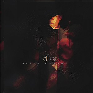Dust album