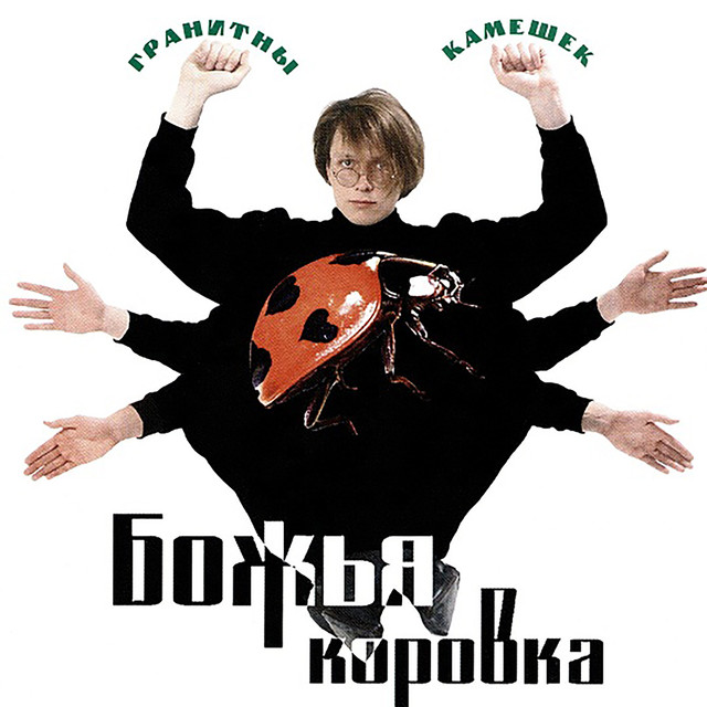 Божья коровка Photo