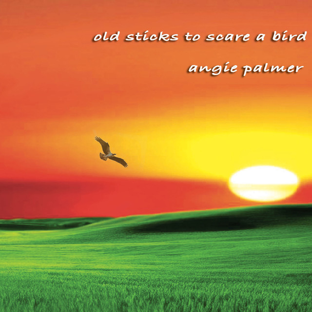 Angie Palmer Photo