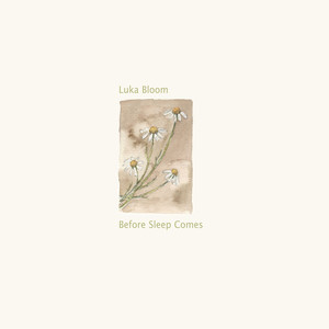Before Sleep Comes cover