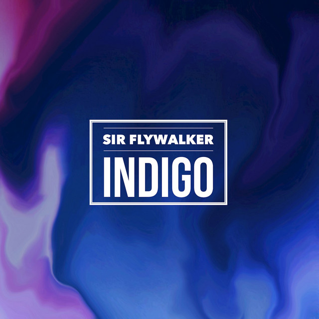 Sir Flywalker Photo