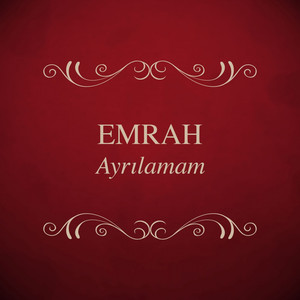 Ayrılamam cover
