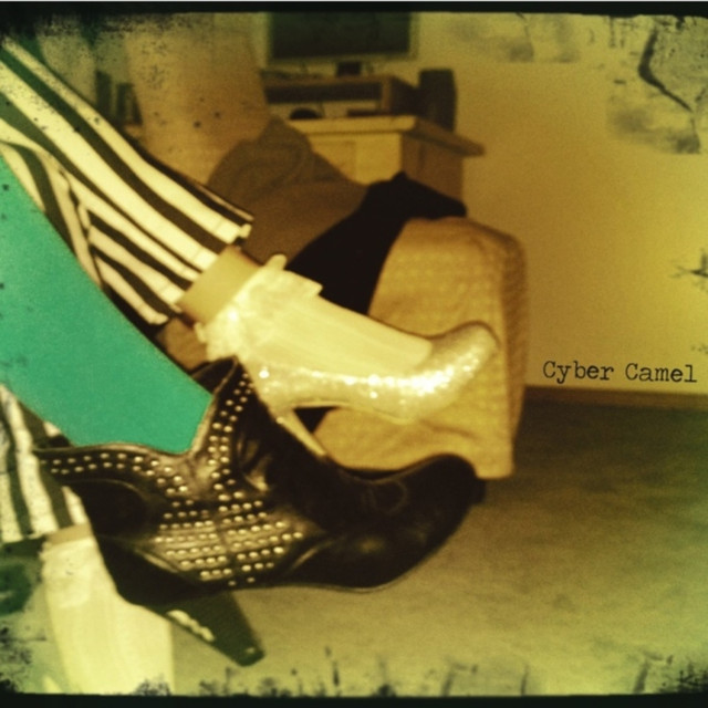 Cyber Camel Photo