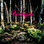 Miero cover