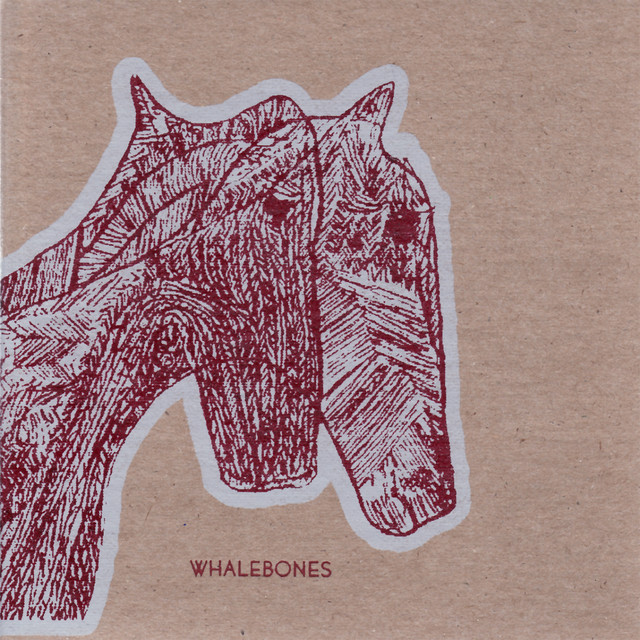Whalebones Photo