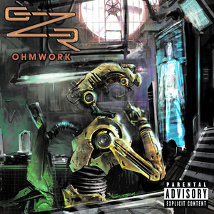 Ohmwork cover