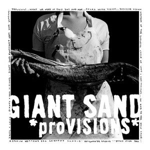 *proVISIONS* cover
