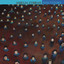 Spectators cover