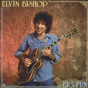 Big Fun album