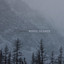 White Silence Albumcover
