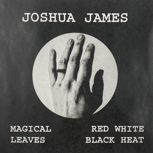 Magical Leaves Red White Black Heat cover