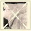 Hollow Creature Albumcover