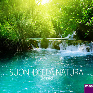 Musica Rilassante