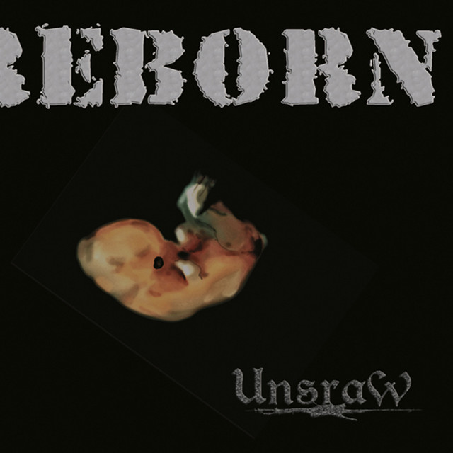 Reborn cover