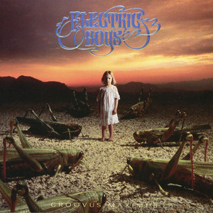 Groovus Maximus cover