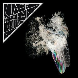 Ocean of Frequency cover