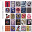 Diversi Stati Di Alterazione Albumcover