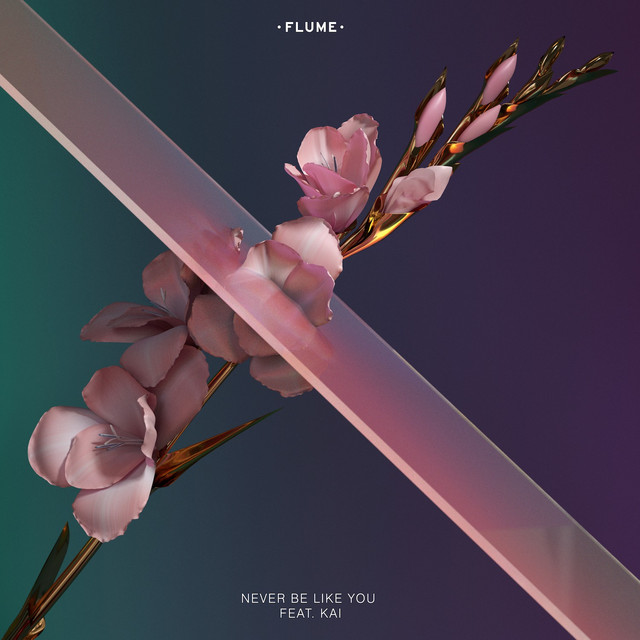 Never be like you - Flume ft. Kai
