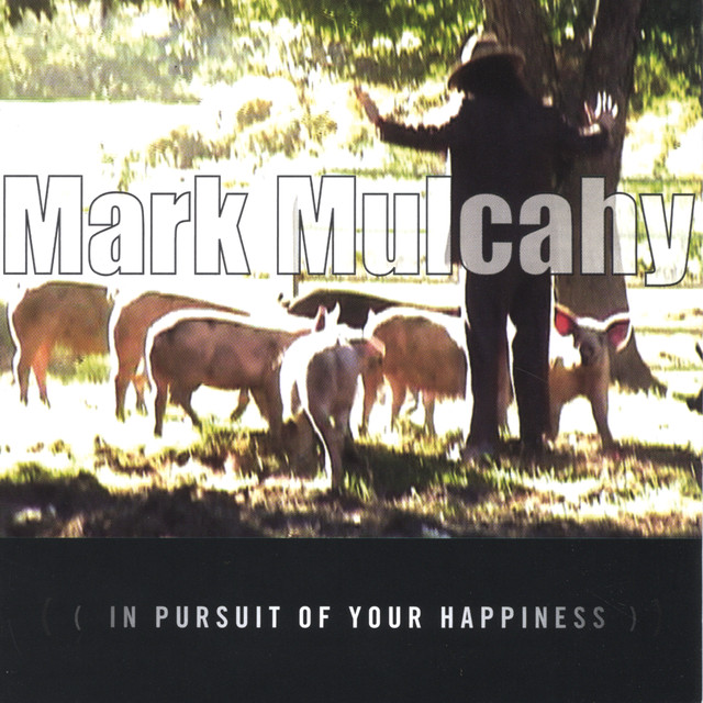 In Pursuit Of Your Happiness cover