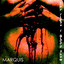 The Flesh & Blood Show Albumcover