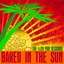 Baked In The Sun...The 4:20 Pan Sessions Albumcover