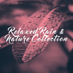 Relaxed Rain & Nature Collection album