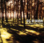 The Way I Feel Today Albumcover