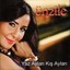 Yaz Ayları Kış Ayları Albumcover