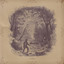 Vetiver cover
