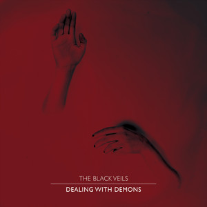 The Black Veils photo