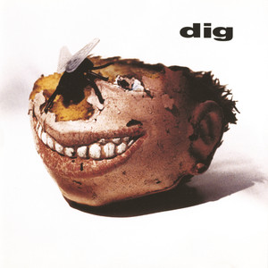 Dig cover