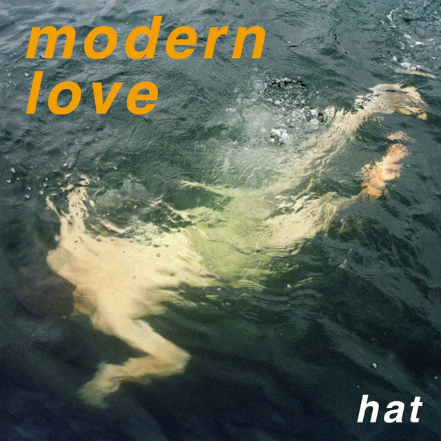 Hat cover