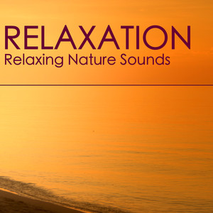 Relaxation - Relaxing Nature Sounds Relaxation and Tibetan Chakra Meditation Music for Insomnia Problem, Stress Relief, Rest, Mindfulness Meditation, Deep Sleep, Studying, Healing Massage, Spa, Sound Therapy, Chakra Balancing, Baby Sleep album