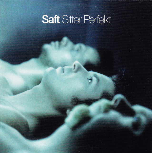 Sitter Perfekt cover