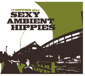 Sexy Ambient Hippies album