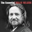 Willie Nelson cover