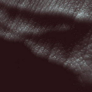 Knuckledragger cover