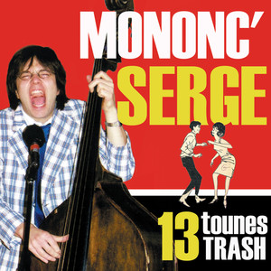 13 tounes trash cover