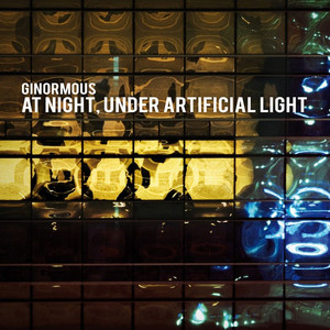 At Night, Under Artificial Light cover