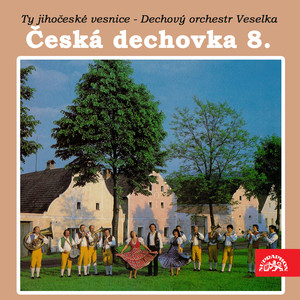 Dechov&yacute; orchestr Veselka