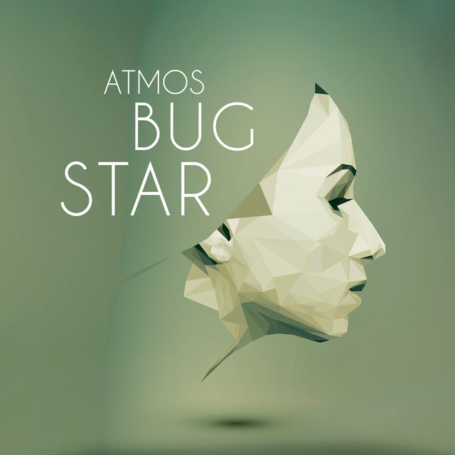 Bug Star Photo