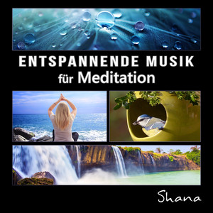 Entspannende Musik für Meditation: Heilung Vokal von keltische Frau, Ruhige Natur und Meereswellen für Stress zu reduzieren, Schlaf Therapie, Yoga in der frischen Luft (Klavier, Vögel, Regen, Wald, Ozean-Wellen) cover