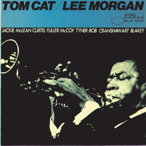 Tom Cat cover