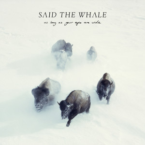 As Long as Your Eyes Are Wide cover