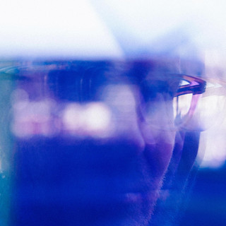 Max de Wardener Photo