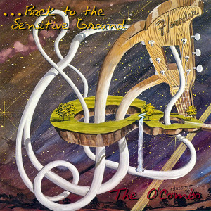 ...Back To The Sensitive Ground Albumcover