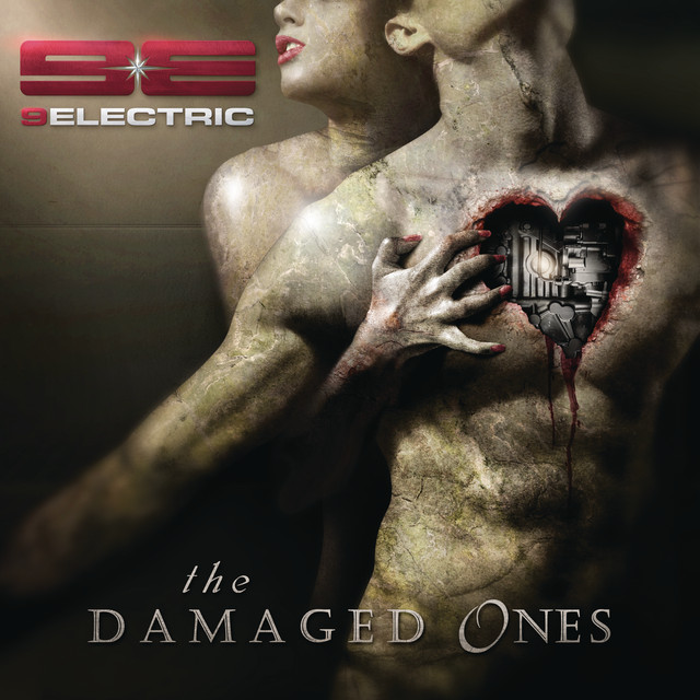 The Damaged Ones cover