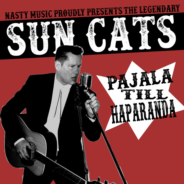 Sun Cats Photo