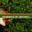 Fragments Of Certainty Albumcover