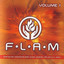 F.L.A.M, Volume 1 Albumcover